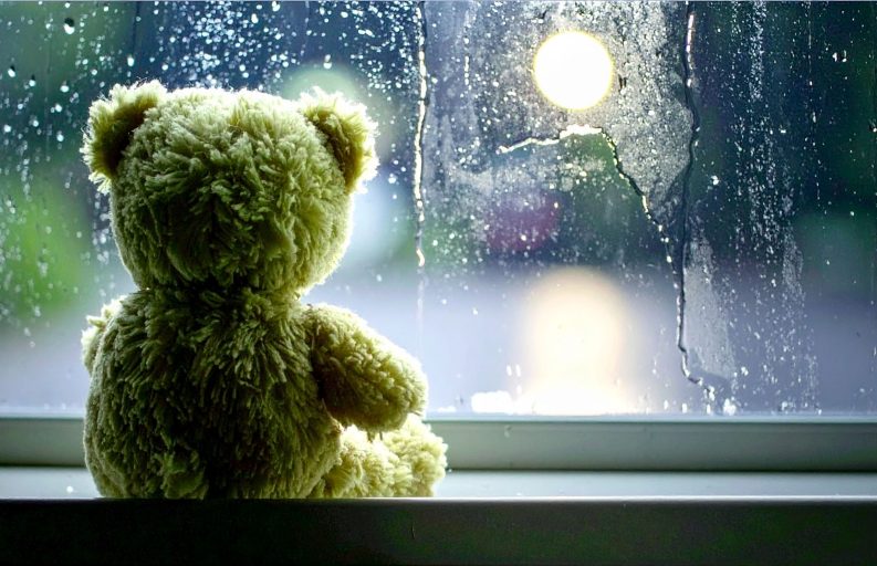 Firefly_using Kermit the frog window meme as heavy inspiration, generate a cute plushie bear 930828